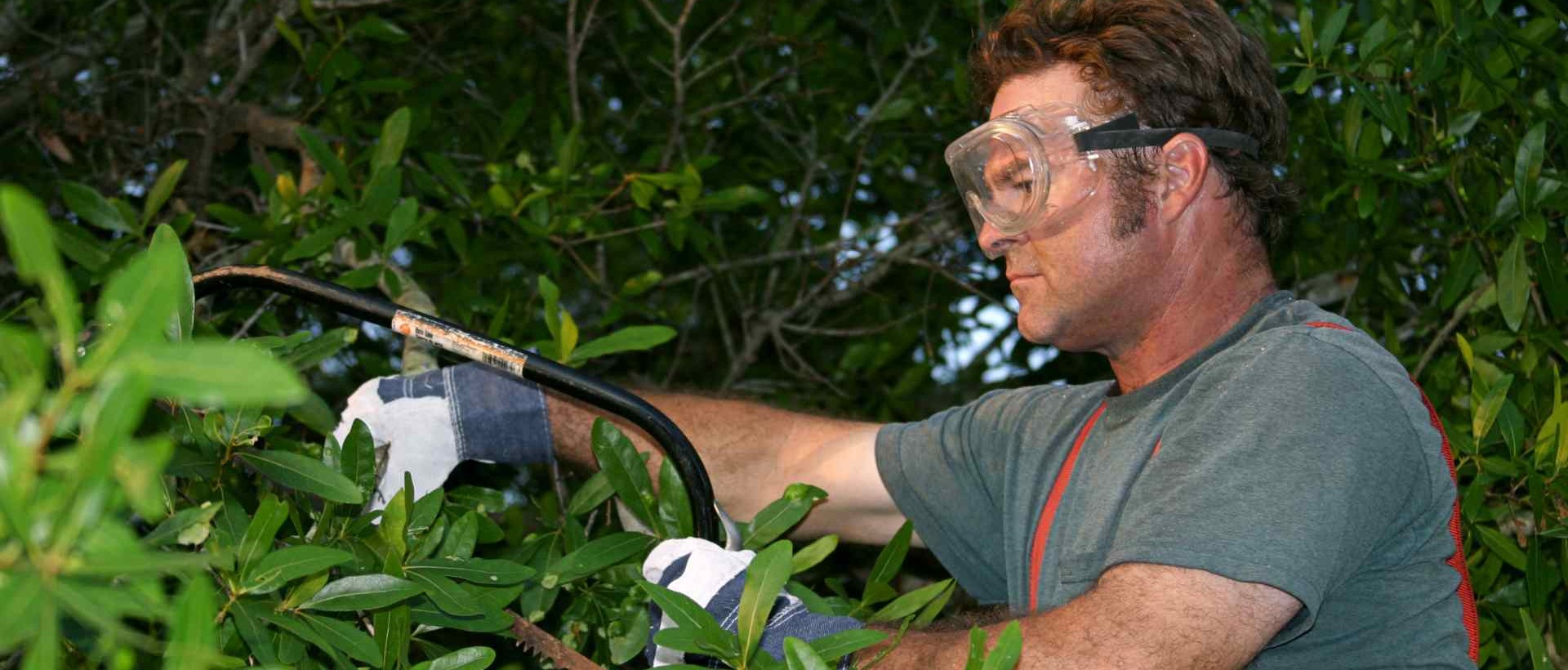 garden clearance RM13