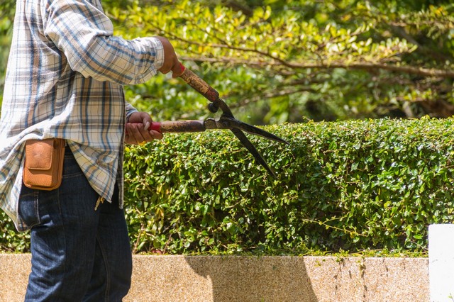 Garden Maintenance Rainham, RM13